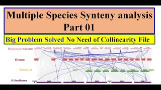 Multiple organisms Synteny analysis Part 1  Synteny analysis for more than two species [upl. by Goldia]