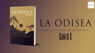 AUDIOLIBRO  LA ODISEA  Canto X [upl. by Niffirg655]