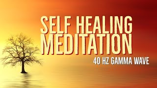 Self Healing Powerful Meditation Gamma Wave Increase Memory amp Focus 40hz Mediation [upl. by Eilac190]