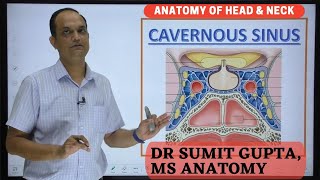 CAVERNOUS SINUS  Boundaries  Contents  Thrombosis [upl. by Leola34]