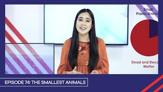 Learn with PGC  Smart Learning EP 74  The Simplest Animals [upl. by Gan]