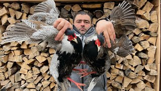 How To Cook PHEASANT Deliciously On A Fire In The Wild  The Best Bird Meat [upl. by Aikas]