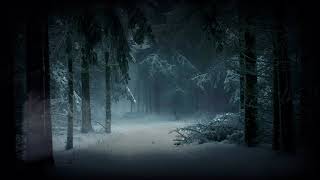 Winter Forest AmbienceRelaxing Howling Wind Sounds [upl. by Oaoj]