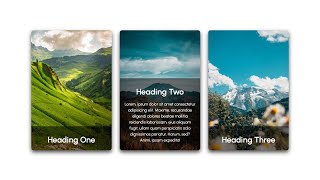 responsive Css card hover effect 2022  CodingWithFahim [upl. by Derna]