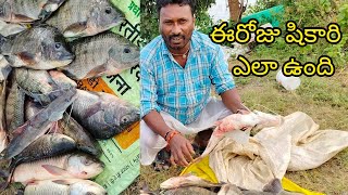 ఈరోజు షికారి ఎలా ఉంది 🐟yatala shankar vlogs యాటల శంకర్ చేపల వీడియో🐟 [upl. by Kassia]