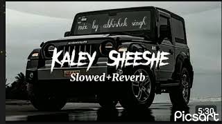 Kaley Sheshe Song by Addy Nagar and Aniket Jain [upl. by Pauli]