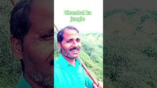 Chambal ka jungle song music live tamilsong seema devi indal Singh blog short video [upl. by Ennovihs120]