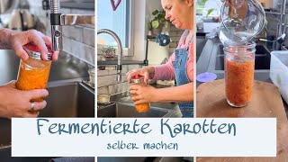 Karotten fermentieren  Probiotisches Powerfood  Gesundes für den Darm [upl. by Kreager273]