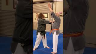 Pinan Yondan Bunkai SelfDefense [upl. by Doggett]