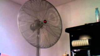 Dayton Industrial Pedestal Fan [upl. by Ycniuq]