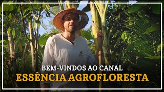 Bemvindos ao canal Essência Agrofloresta [upl. by Dyoll519]