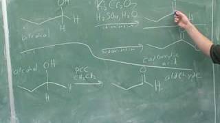 Alcohols oxidation and reduction 3 [upl. by Solohcin369]