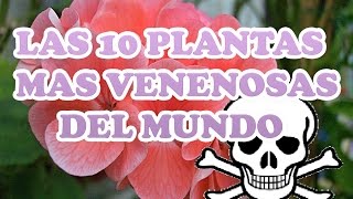 Las 10 plantas mas venenosas del mundo [upl. by Sirrad319]