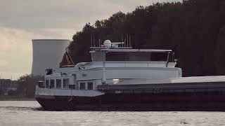 123 Shipspotting Binnenschiffe auf dem Rhein  GMS Zonga aus Merksem  Belgien [upl. by Laup57]