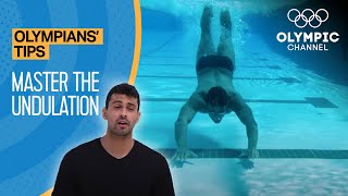 Master undulation in the Butterfly ft Dylan Carter  Olympians Tips [upl. by Giorgia179]