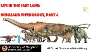 Lecture 36 Life in the Fast Lane Dinosaur Physiology 4 [upl. by Nnaaihtnyc]