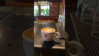 tulip latte art songtrending latte coffeeart lattee coffeedecoration matcha [upl. by Ahsimat]