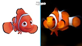 Finding Nemo Characters In Real Life [upl. by Benni]