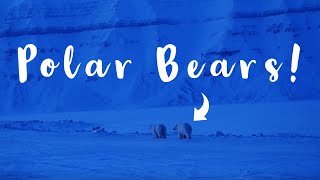 CLOSE POLAR BEAR ENCOUNTER  SVALBARD cabin VLOG  Snowmobile drones amp Glaciers [upl. by Auqenaj]