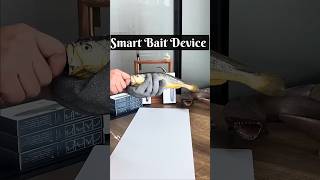 ମଲାମାଛ ଜିବିତ ହୋଇଯିବSmart Bait Device to catch Big Fish [upl. by Aropizt336]