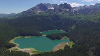 Woodland Zabljak [upl. by Bourque]