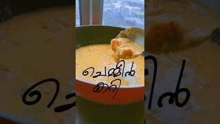 Kerala style chemmeen curry 🍤 food shorts kerala malaysia malayalam [upl. by Lleraj999]