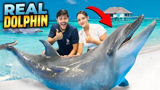 ডলফিনের সাথে সাঁতার কাটলাম  Swim With REAL DOLPHINS 🐬  Rakib Hossain [upl. by Boris883]