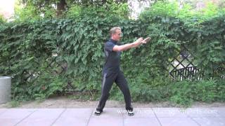 Chen Tai Chi Training Video 1 [upl. by Araed]