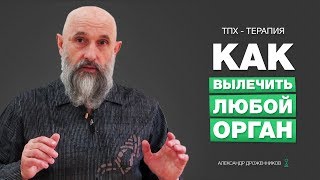 Как Вылечить Любой Орган Простейшая ТПХТерапия [upl. by Idahs]