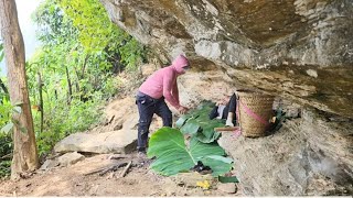 Going to pick wild banana flowers and sleeping in a cave with a man following [upl. by Martine]