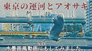 【AI変換】『東京の運河とアオサギ』通常動画①と水墨画風動画②見比べ ai パワーディレクター [upl. by Ynnoj471]