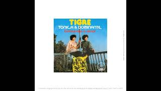 Tonica amp Dominante  Tigre Vocal Dub Mix by Leo Mas amp Fabrice  MP3 80 kbps quality [upl. by Snow738]