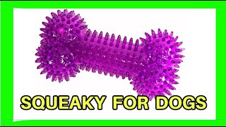 Squeaky toy dog toy [upl. by Nyledam]