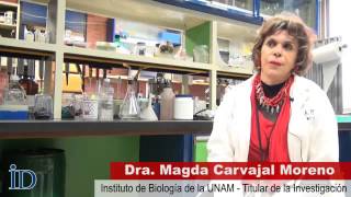 14 Investigación relaciona cáncer cervicouterino con aflatoxinas Calidad y Tamaño Altos [upl. by Ahsiekal]