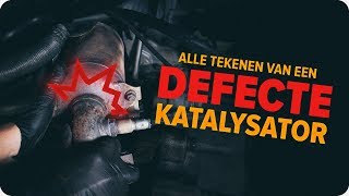 Hoe u de katalysator kunt inspecteren  Tips van AUTODOC [upl. by Ttenaej51]