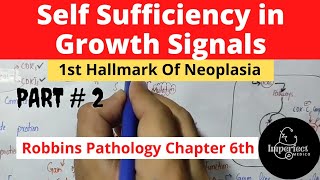 Self sufficiency in Growth Signalspart 21st Hallmark of NeoplasiaRB and ABL proteins pathology [upl. by Euqinot]