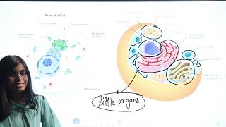 Endoplasmic Reticulum  Cell  Structure and Function  Biology Class 9  RN Glory [upl. by Sihtnyc]