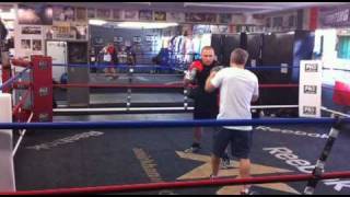 Georges StPierre Training with Freddie Roach in Los Angeles [upl. by Gosselin891]