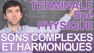 Sons complexes et harmoniques  Spé PhysiqueChimie  Terminale  Les Bons Profs [upl. by Marala711]