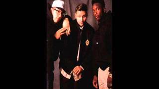 3rd Bass  Derelict Of Dialect Acapella [upl. by Oalsecnew54]