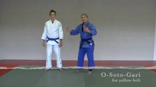 Judo Techniques for Belt Promotion  Yellow Belt [upl. by Elisha]