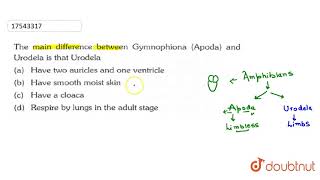 The main difference between Gymnophiona Apoda and Urodela is that Urodela [upl. by Dlabihcra573]