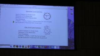 Ketone Bodies  Lipids amp Membranes  Kevin Aherns BB 451 Lecture 31 2017 [upl. by Bibi213]