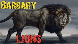 The Tragic History of Barbary Lions Extinction in Hindi । Facts Phylum [upl. by Samira]