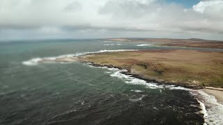 Kei te ora tonu tā emi Moriori ahakoa ngā kōrero kūare a ētahi [upl. by Tirrag728]