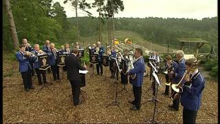 Haslemere Town Band [upl. by Gretta]