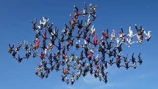 Female skydivers set new free fall record [upl. by Therron]