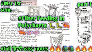 Filter Feeding in Polychaeta 🐛🐛part1 msc zoology 1st semester full हिन्दी easy Notes 🔥🔥📝✍️🔥🔥 [upl. by Mesics]