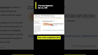 The tryptophan trp operon On vs Off Walkthrough [upl. by Elmira]