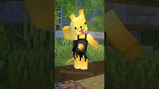 CATATA 😻  Minecraft Animation minecraft [upl. by Yellac]